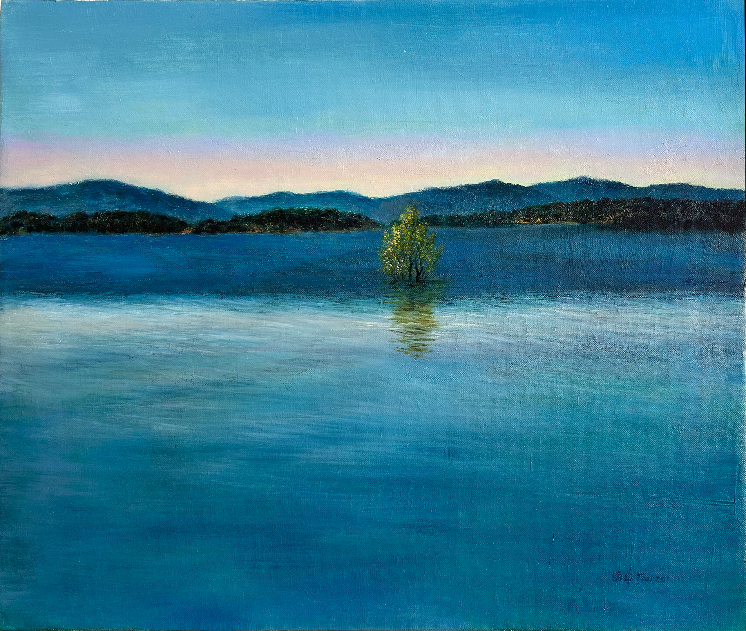 Light of the lake in the wind